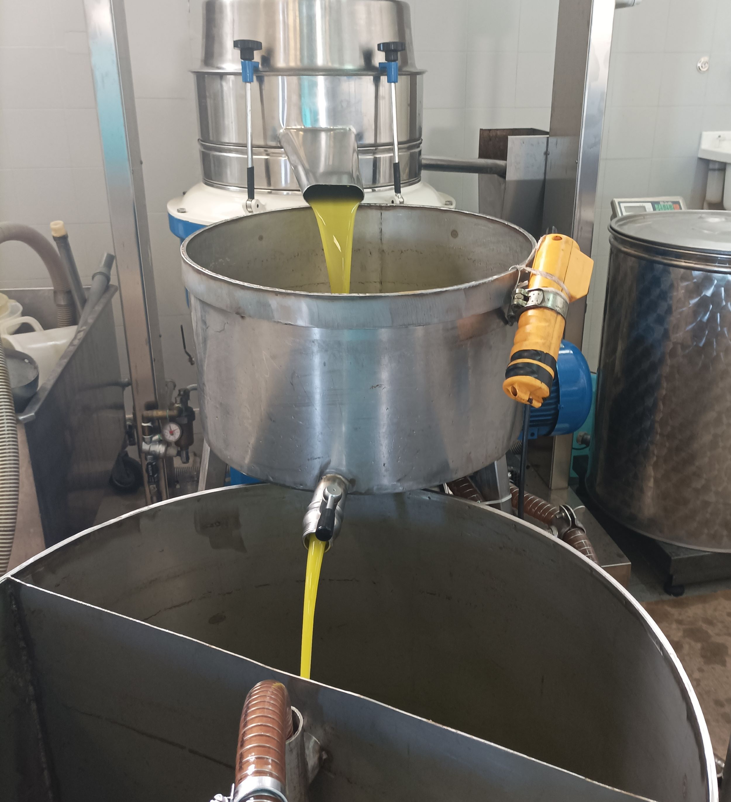 Traditional olive oil extraction process in the mill